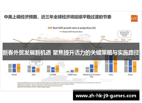 新春外贸发展新机遇 聚焦提升活力的关键策略与实施路径